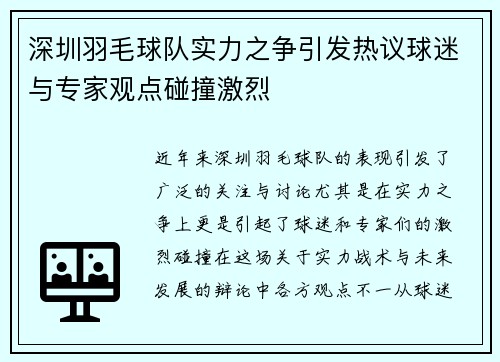 深圳羽毛球队实力之争引发热议球迷与专家观点碰撞激烈